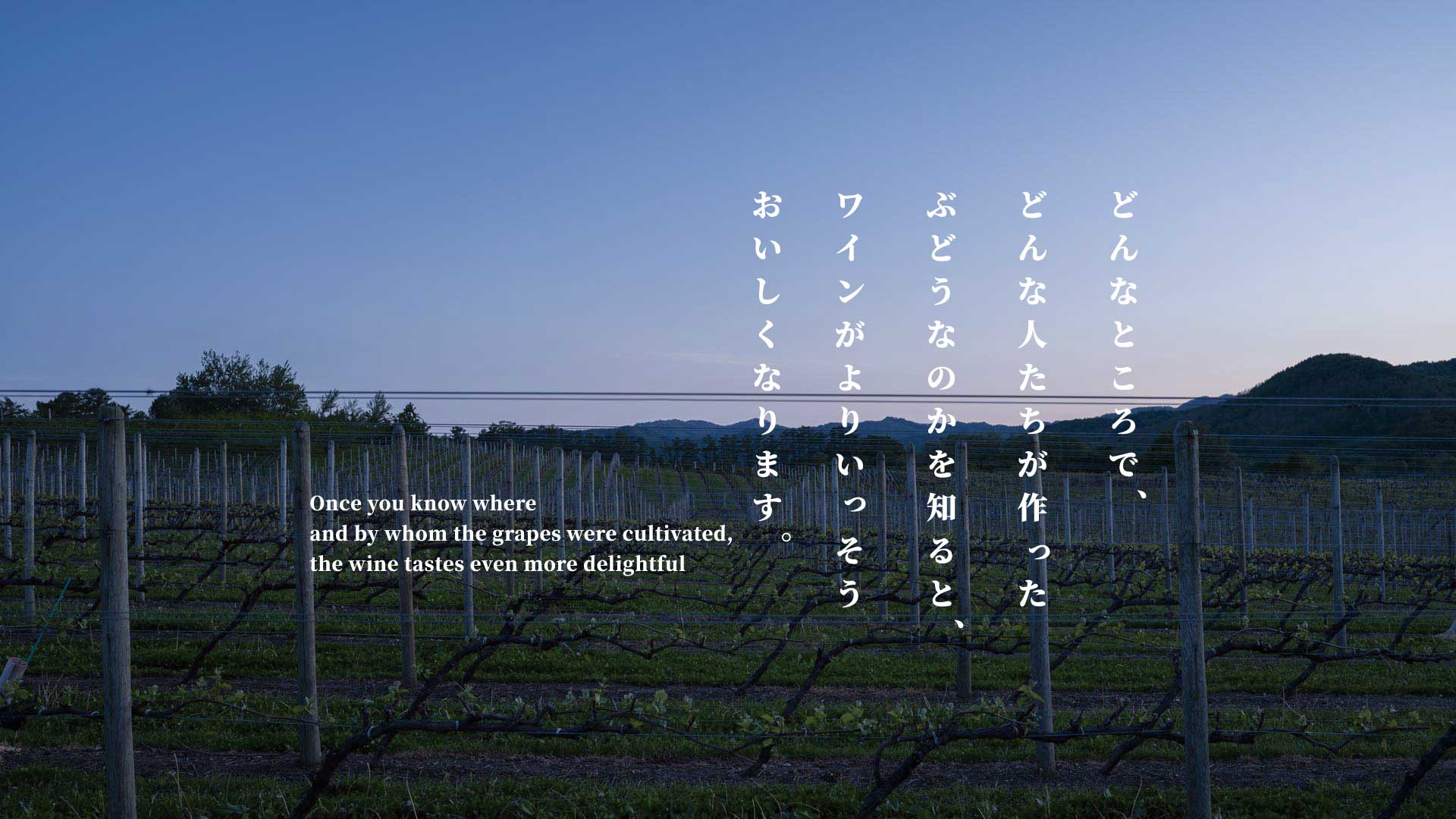 どんなところでどんな人たちがつくったぶどうなのかを知ると、ワインがよりいっそうおいしくなります。 Once you know where  the grapes were grown  and by what kind of people, Wine becomes even more delicious.